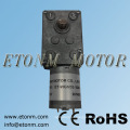 Automatic window 12v high torque dc worm gear motor ET-WGM46